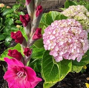 Meet your Posher, Debbie